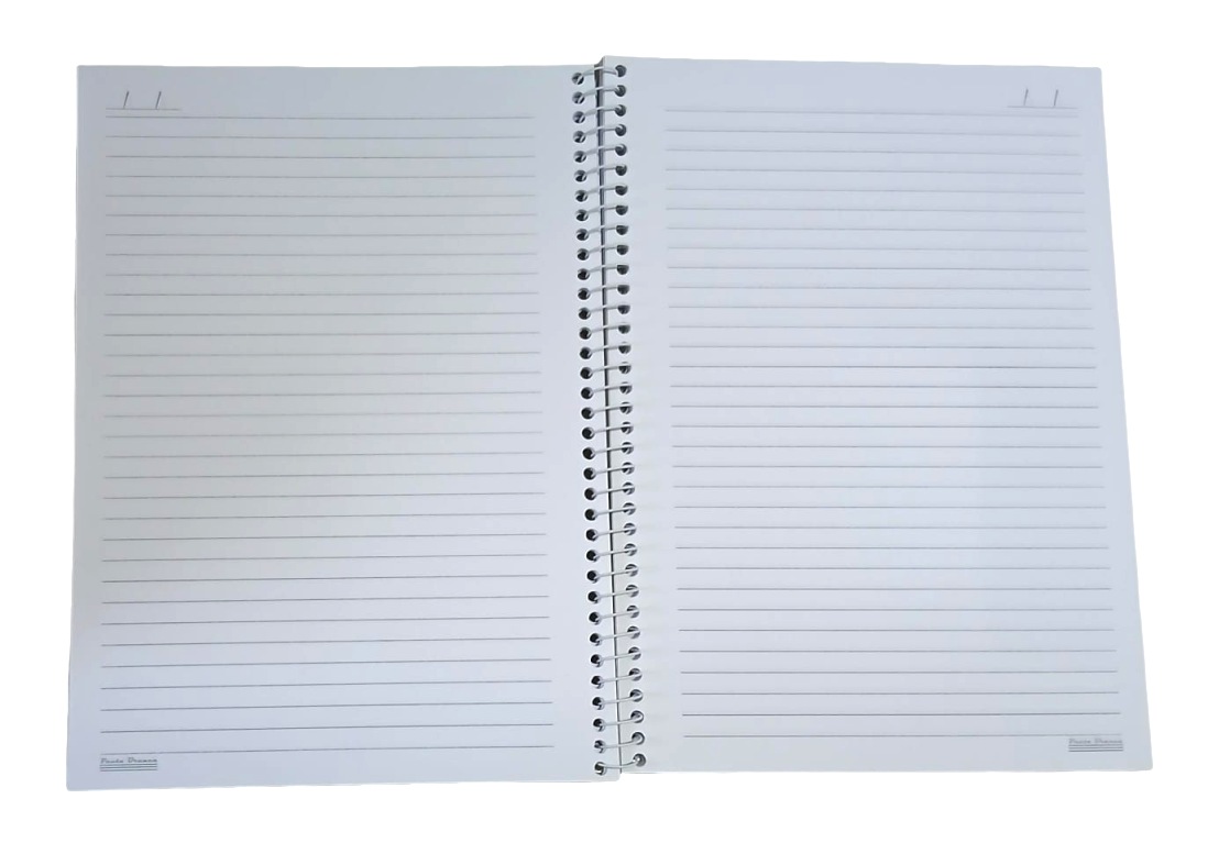 CADERNO C.D. 1X1 LOOP